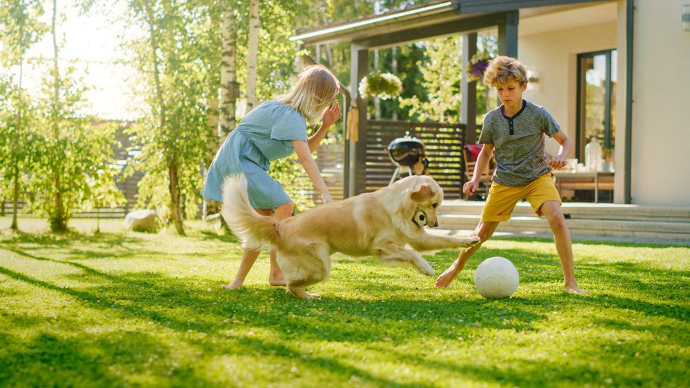 Is Your Backyard Safe For Kids?